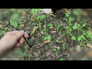 i was looking for a ufo but found a dick